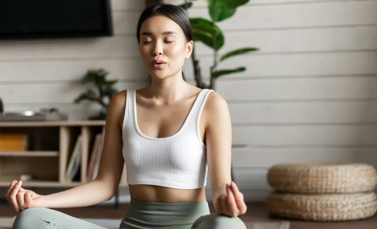 Mindfulness Meditation