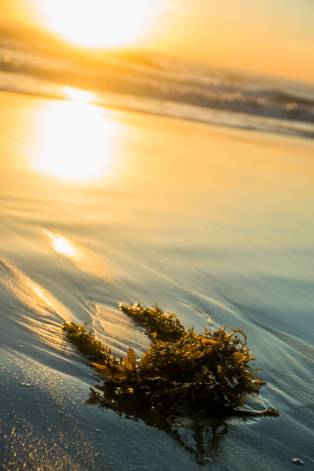 Shifting Out of Loneliness & Depression